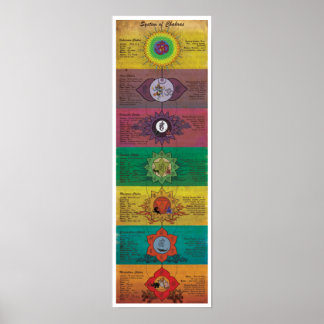 The System Of Chakras Poster