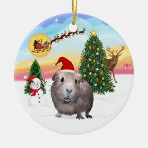 The Take Off - Guinea Pig #2 Ceramic Ornament