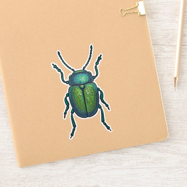 The tansy beetle (Notebook)