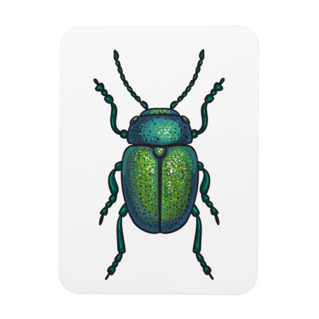 The tansy beetle magnet (Vertical)