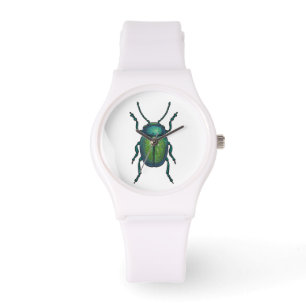 The tansy beetle watch