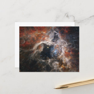 The Tarantula Nebula   NIRCam   JWST Postcard