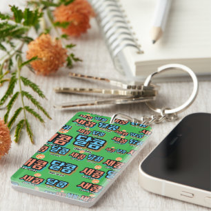 The taste of fruit : "새콤달콤"(sae-com dal-com) key ring