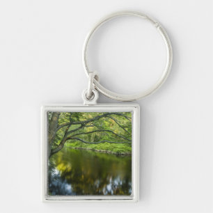 The Taunton River in Bridgewater, 2 Key Ring