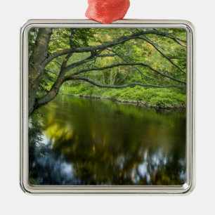 The Taunton River in Bridgewater, 2 Metal Tree Decoration