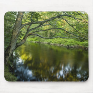 The Taunton River in Bridgewater, 2 Mouse Pad
