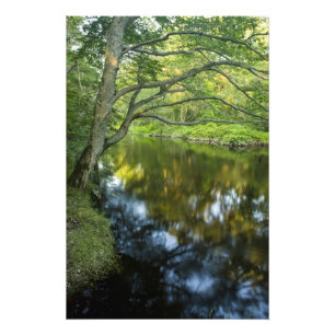 The Taunton River in Bridgewater, 2 Photo Print