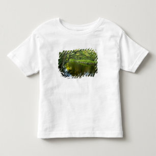 The Taunton River in Bridgewater, 2 Toddler T-Shirt