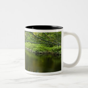 The Taunton River in Bridgewater, 2 Two-Tone Coffee Mug