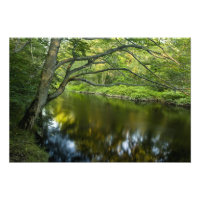 The Taunton River in Bridgewater,