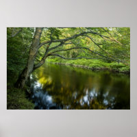 The Taunton River in Bridgewater,