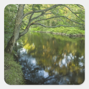 The Taunton River in Bridgewater, Square Sticker