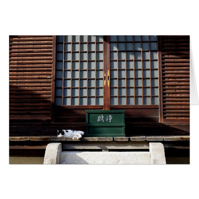 The Temple Cat (Front Horizontal)