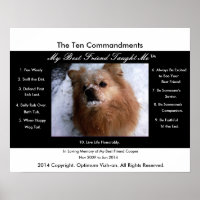 The Ten Commandments My Best Friend Taught Me