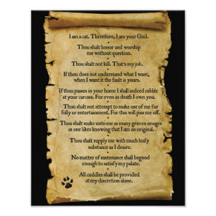 The Ten Commandments of The Cat Photo Print