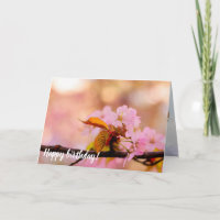 The Tender Warmth Of Sakura Flowers In Spring