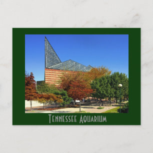 The Tennessee Aquarium - Chattanooga, TN. Postcard