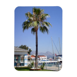 The territory of the yacht club Kemer with a palm  Magnet