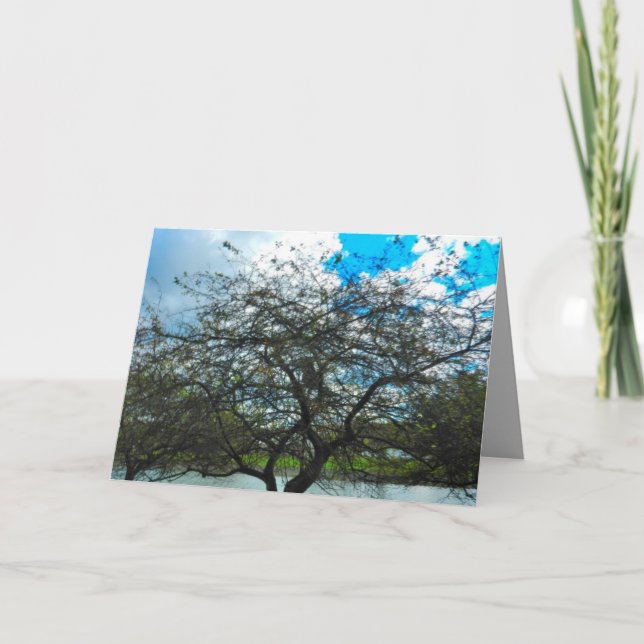 THE TEST OF TIME card (Front)