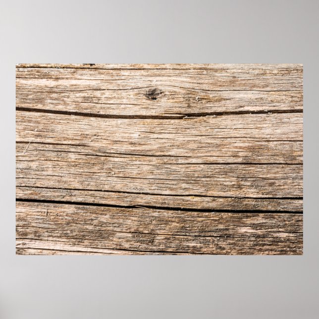 The texture of an old wooden log without bark with poster (Front)