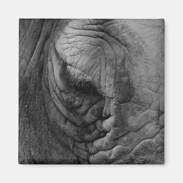 The things Ive seen white Rhino. magnet (Front)