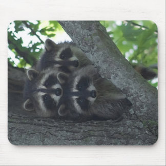 The Three Amigos Mouse Pad