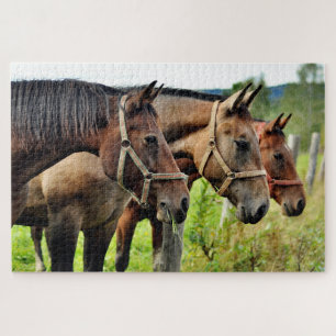 The Three Amigos Staring Horse Friends Jigsaw Puzzle