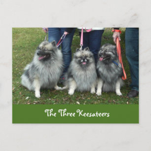The Three Keesateers Postcard