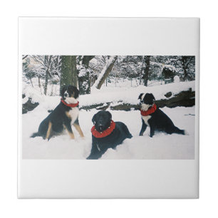 The Three Musketeers! Ceramic Tile