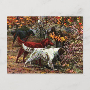 The Three Setters Postcard