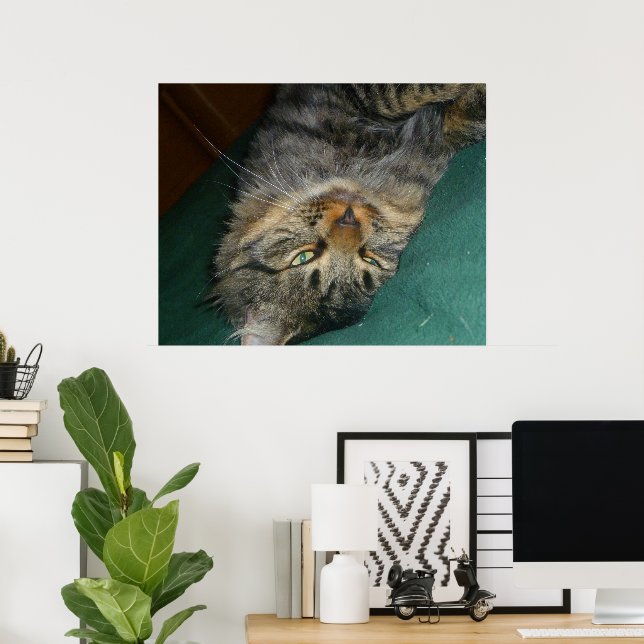 The Tig Poster (Home Office)