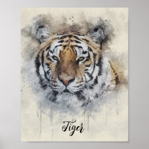 The Tiger Look  watercolor illustration  