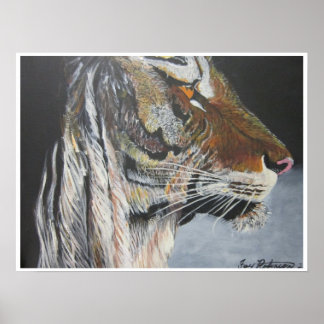 The Tiger Poster