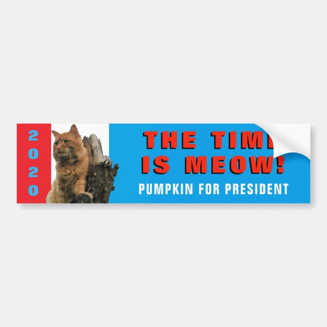 The Time Is Meow! Majestic Pumpkin for President Bumper Sticker (Front)