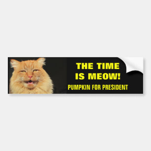 The Time Is Meow! Pumpkin for President Bumper Sticker