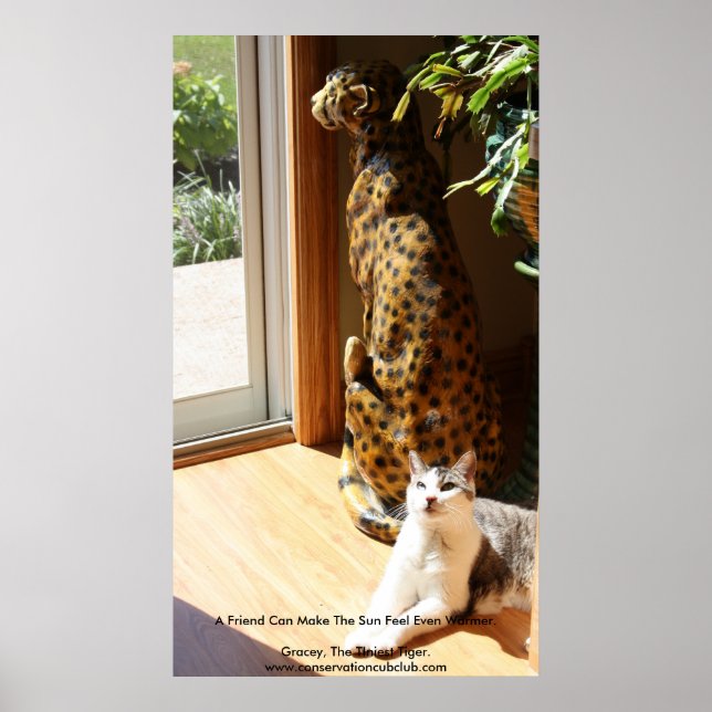 The Tiniest Tiger & Bad Kitty Poster (Front)