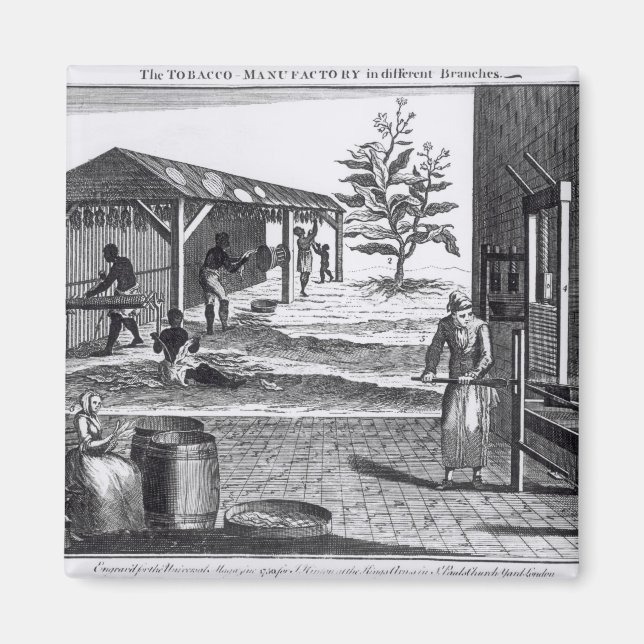 The Tobacco Manufactory in Different Branches Magnet (Front)