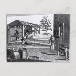 The Tobacco Manufactory in Different Branches Postcard
