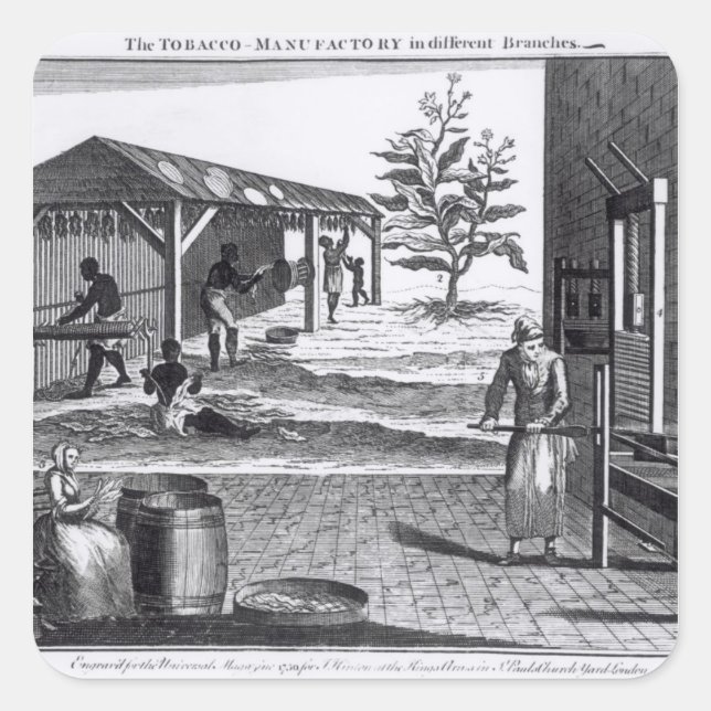 The Tobacco Manufactory in Different Branches Square Sticker (Front)