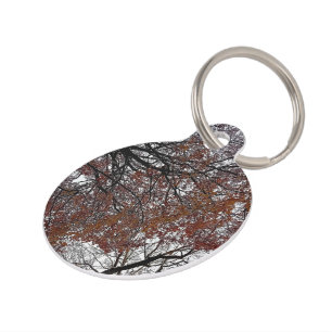 The tops of trees pet tag