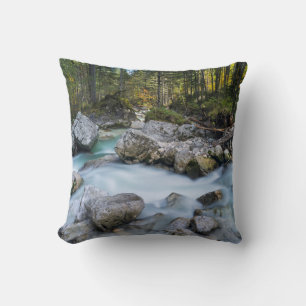 The torrent Ramsauer Ache Cushion