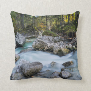 The torrent Ramsauer Ache Cushion