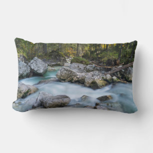The torrent Ramsauer Ache Lumbar Cushion