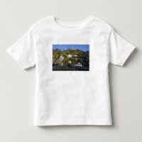 The town of Avalon on Catalina Island,