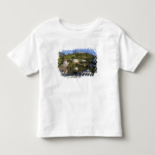 The town of Avalon on Catalina Island, Toddler T-Shirt