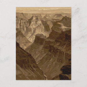 The Transept, Kaibab Division, Grand Canyon Postcard