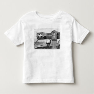 The Transit of Venus Toddler T-Shirt