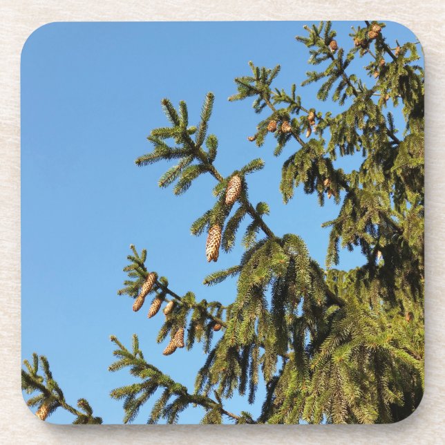 The Tree for Christmas Coaster (Front)