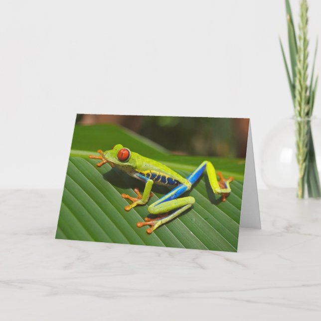 The Tree Frog Valentine Card (Front)