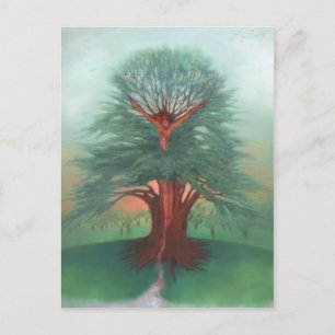 The Tree of Healing Postcard